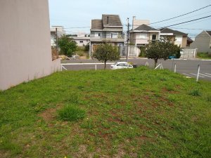 Terreno - Venda - Mont Serrat - Canoas - RS