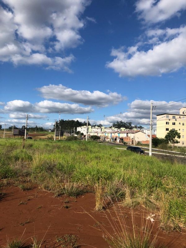 Terreno - Aluguel - Guajuviras - Canoas - RS