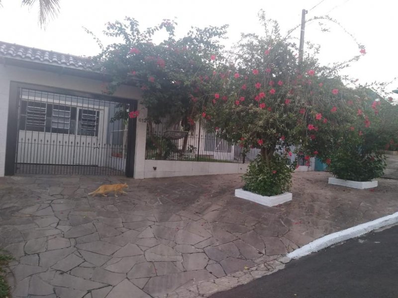 Casa - Aluguel - Pasqualini - Sapucaia do Sul - RS