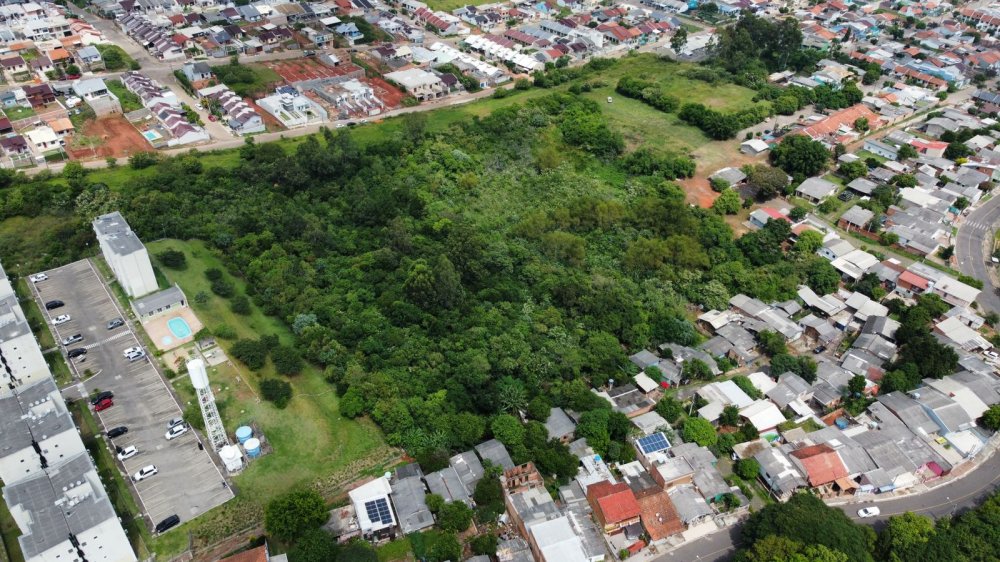 Terreno - Venda - Bela Vista - So Leopoldo - RS
